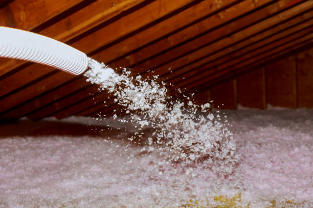 Best Eco-Friendly Insulation in East Tawas, MI