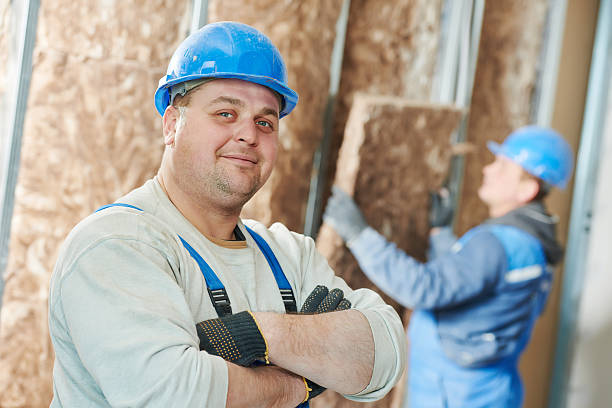 Best Geographic-Specific Insulation Services in East Tawas, MI