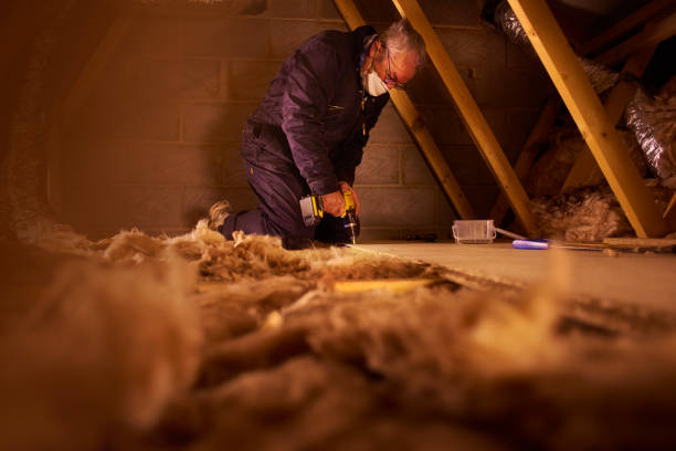 Best Insulation Maintenance and Repair in East Tawas, MI